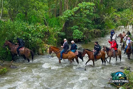 Cabalgata fincas cafeteras, bosque y rio Boquerón