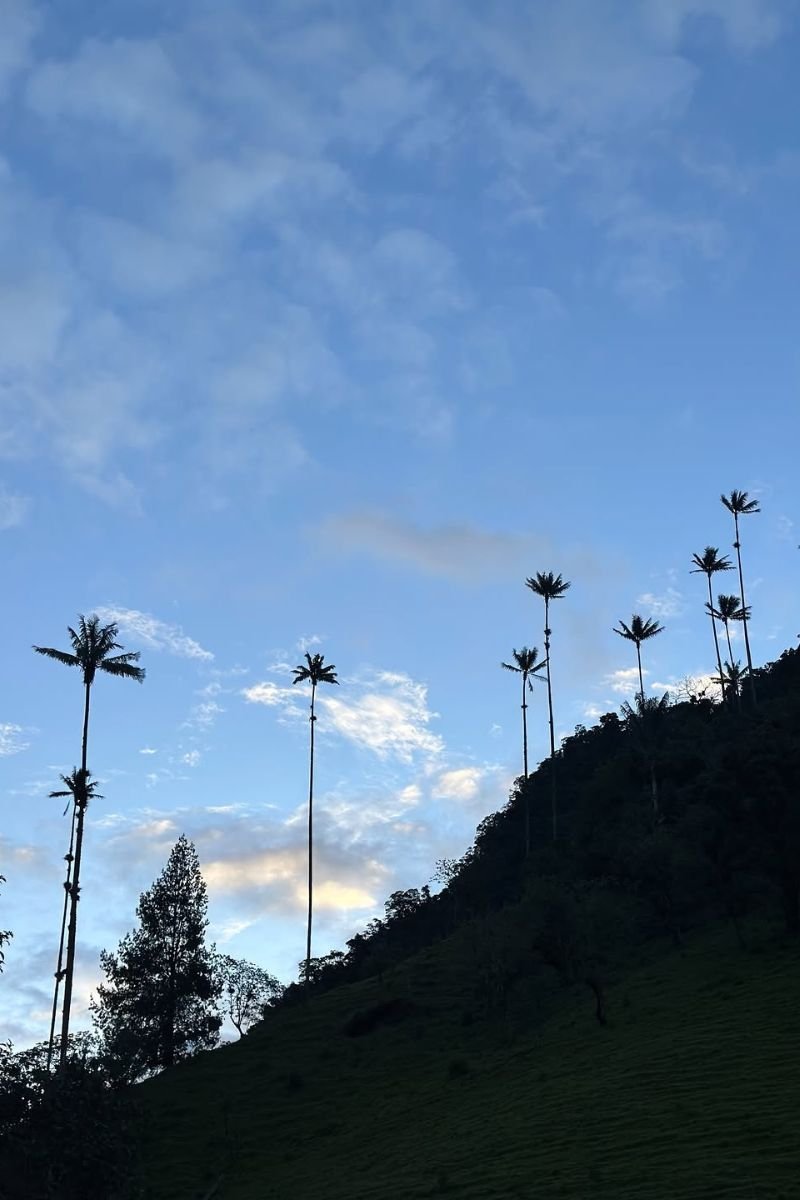 Trekking al paramo de Romerales por Salento Quindio