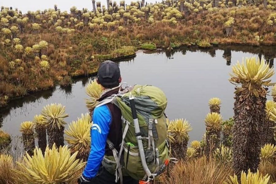 Trekking al paramo de Romerales por Salento Quindio