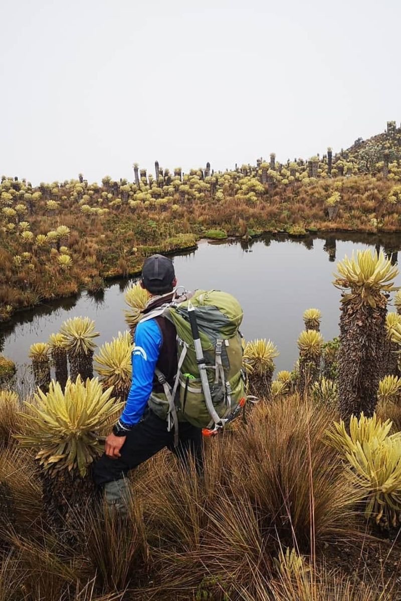 Trekking al Paramillo por Salento Quindio