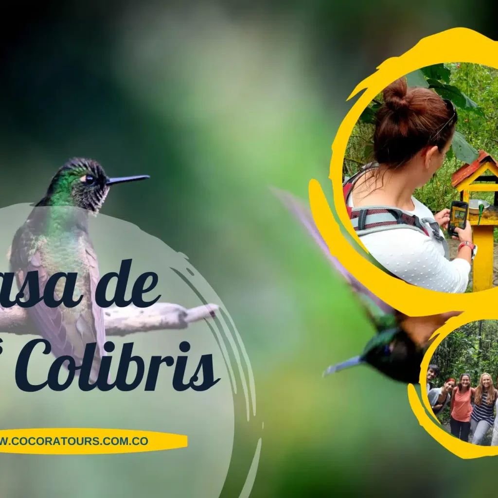 El Valle del Cocora en imágenes