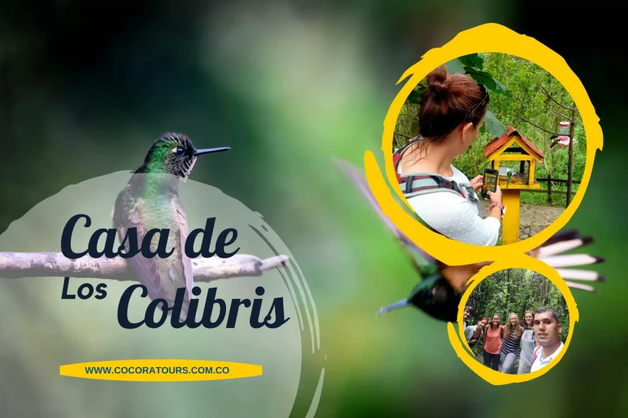 Circuito de Avistamiento de Colibrís