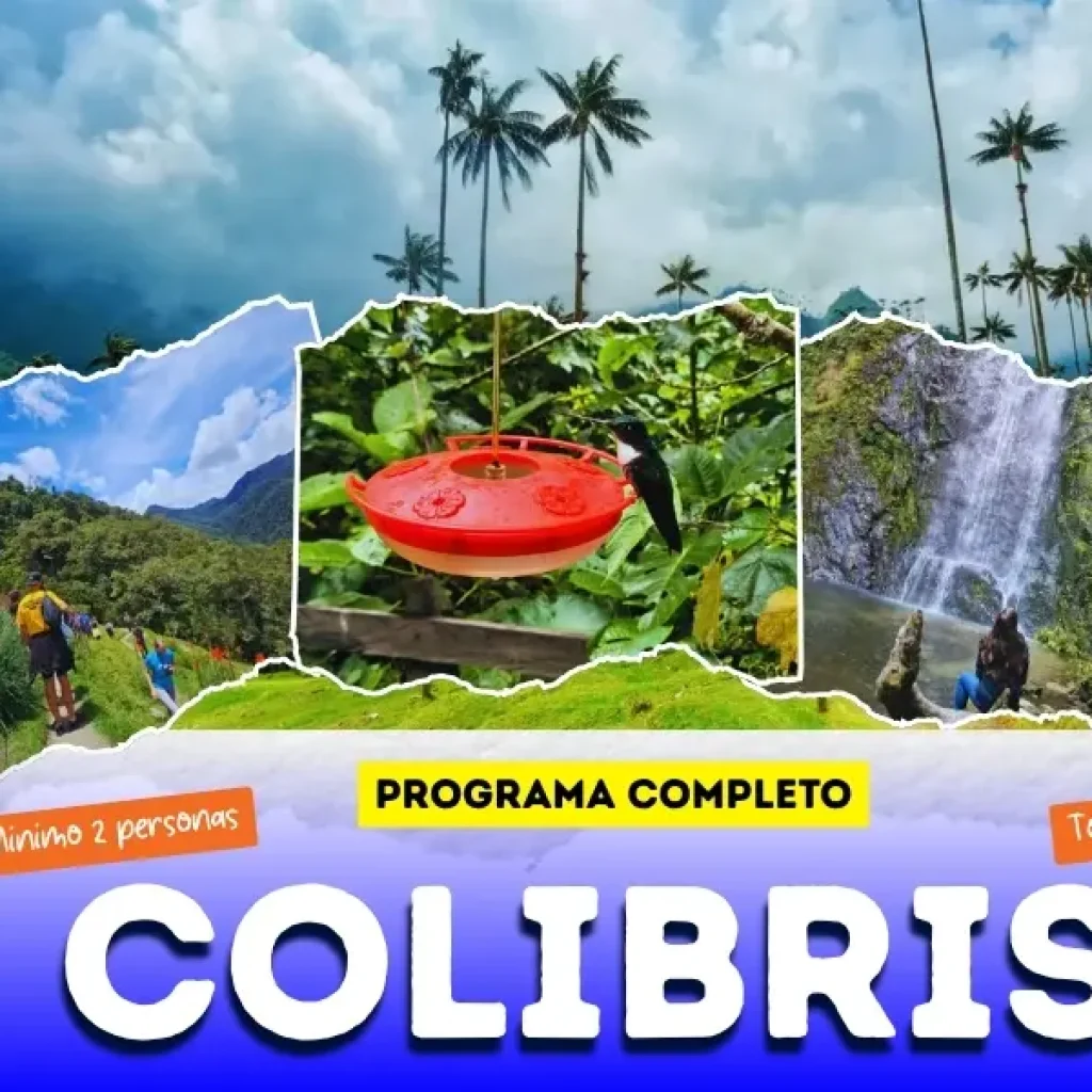 El Valle del Cocora en imágenes