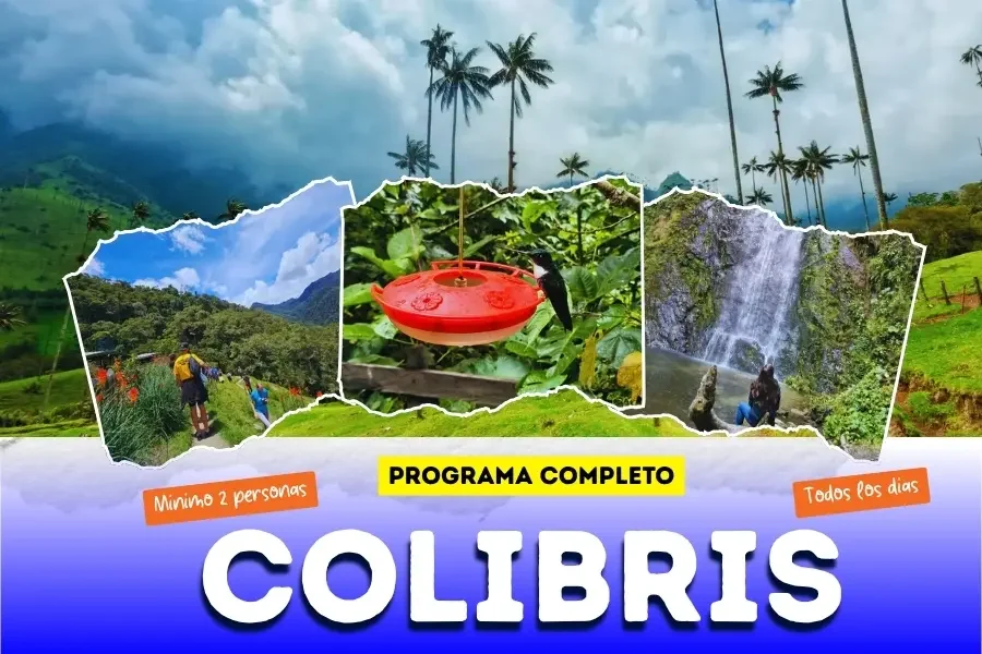 Trekking casa de los colibrís Valle del Cocora y la cascada