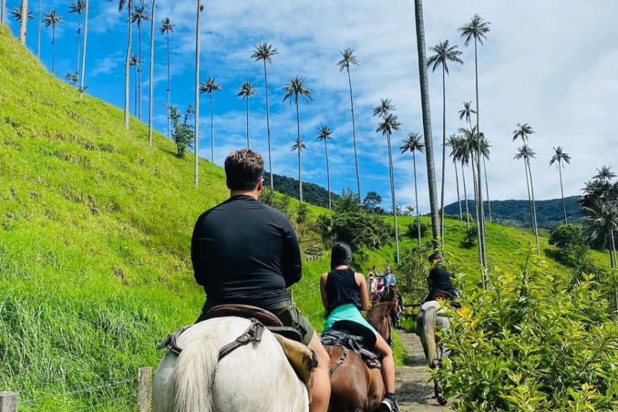 Cabalgata Cocora Mirador dos, uno y rio