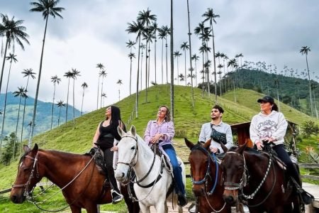 Cabalgata mirador uno y rio Valle del Cocora