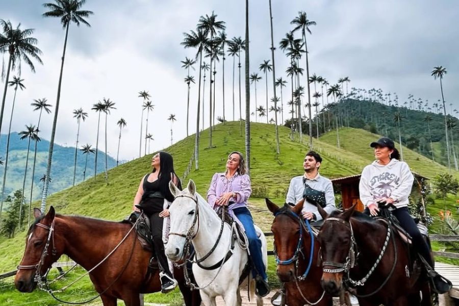 Cabalgata mirador uno y rio Valle del Cocora