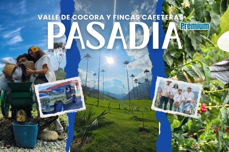 Pasadia Valle del Cocora y Fincas Cafeteras Premium