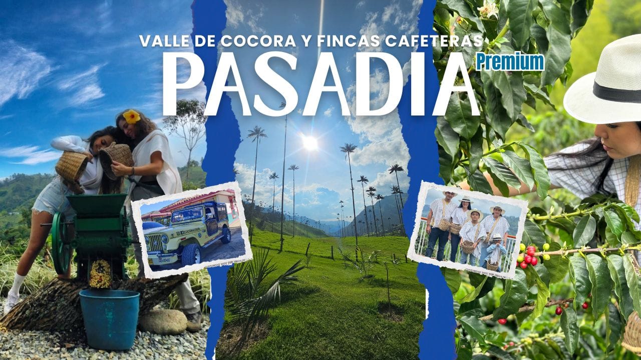 Pasadia Valle del Cocora y Fincas Cafeteras Premium