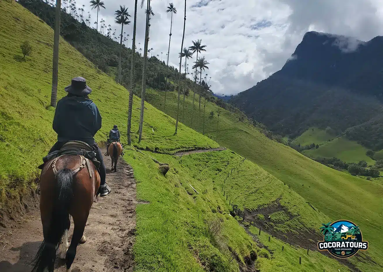 Cabalgata mirador dos y rio Valle del Cocora