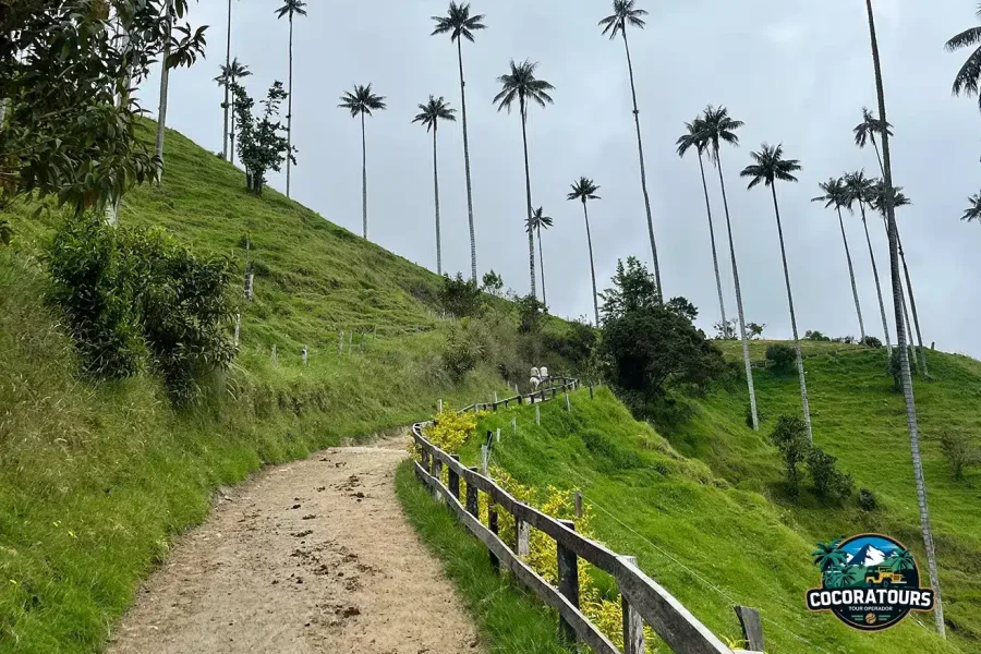 Cabalgata Cocora Mirador dos, uno y rio