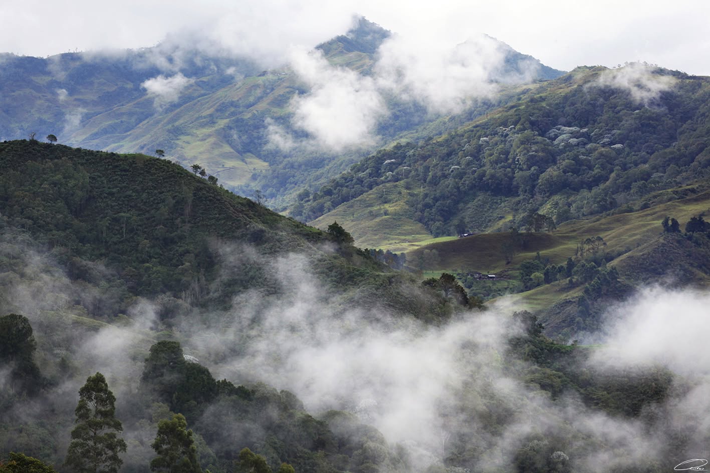 Cerro Morrogacho la Cima del Cocora