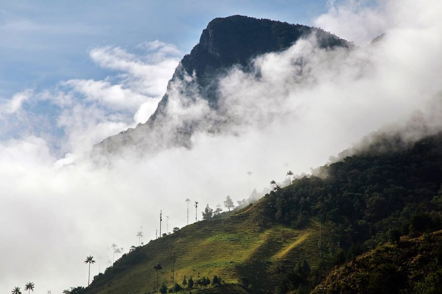 Cerro Morrogacho la Cima del Cocora