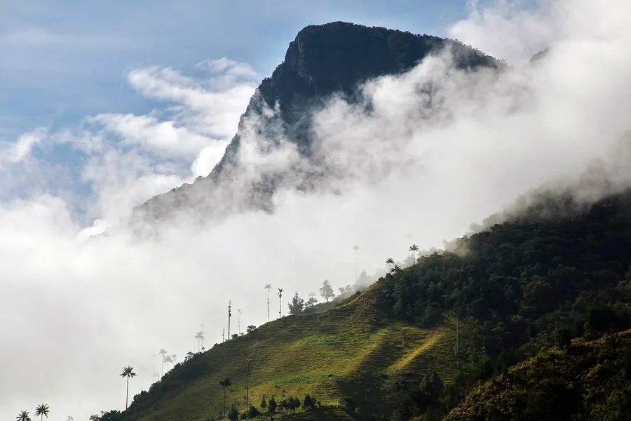 Cerro Morrogacho la Cima del Cocora