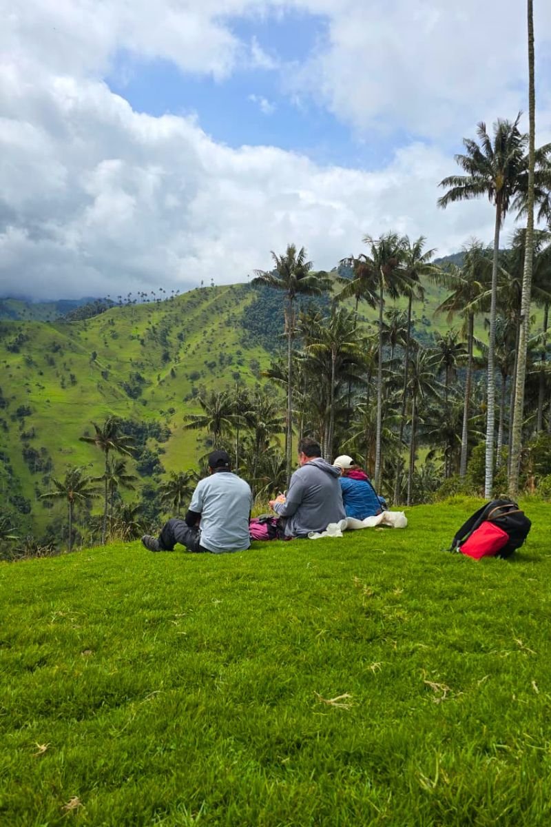 Excursión cerro volcán Machín desde Salento