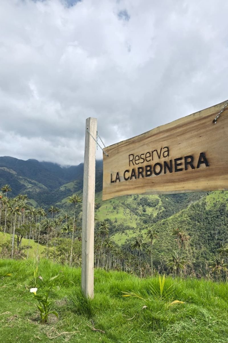 Excursión cerro volcán Machín desde Salento