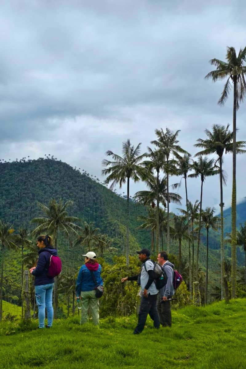 Excursión cerro volcán Machín desde Salento