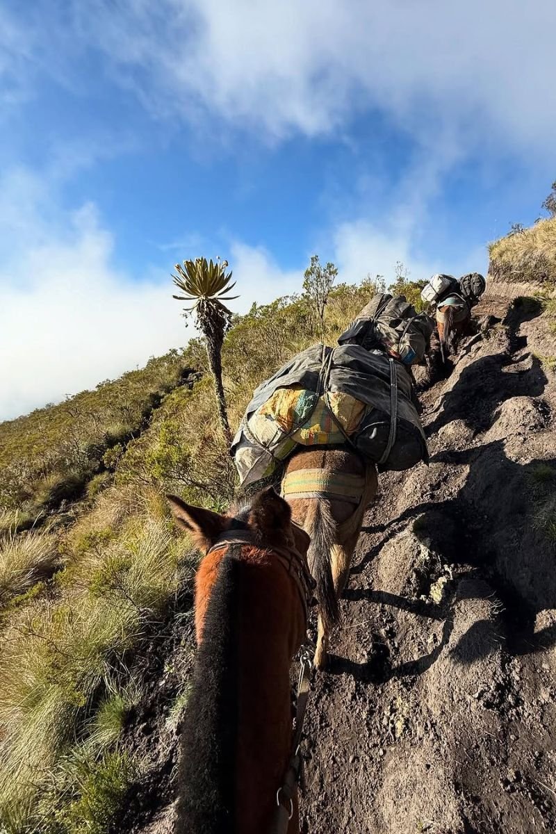 Trekking al Nevado del Tolima por Salento Quindio