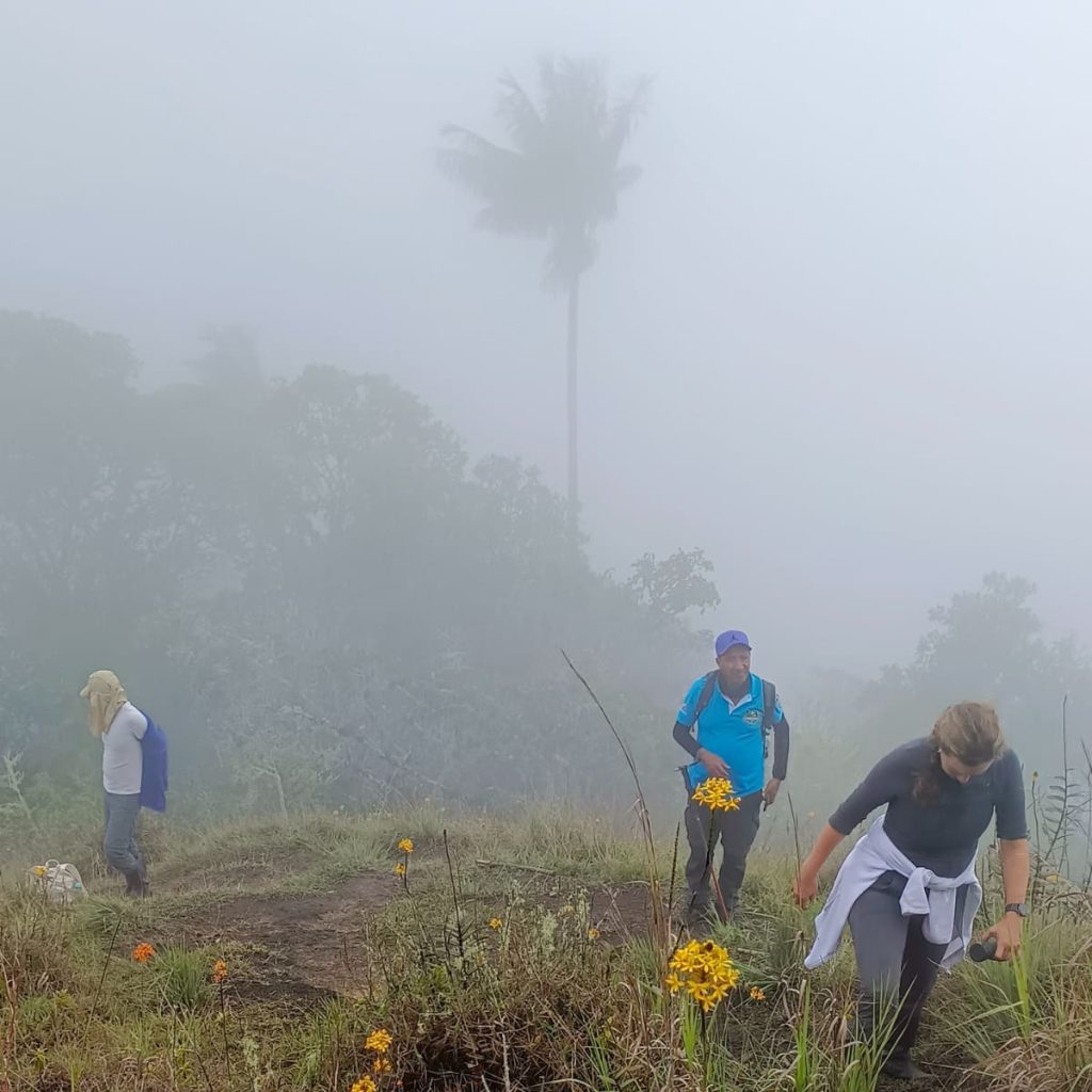 La Carbonera en imágenes