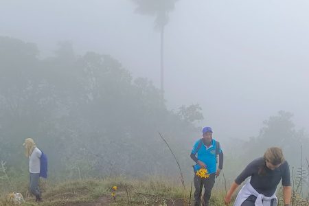 Excursión cerro volcán Machín desde Salento