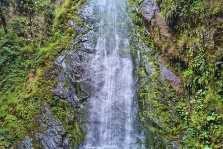 Excursión corta y gran cascada Valle del Cocora