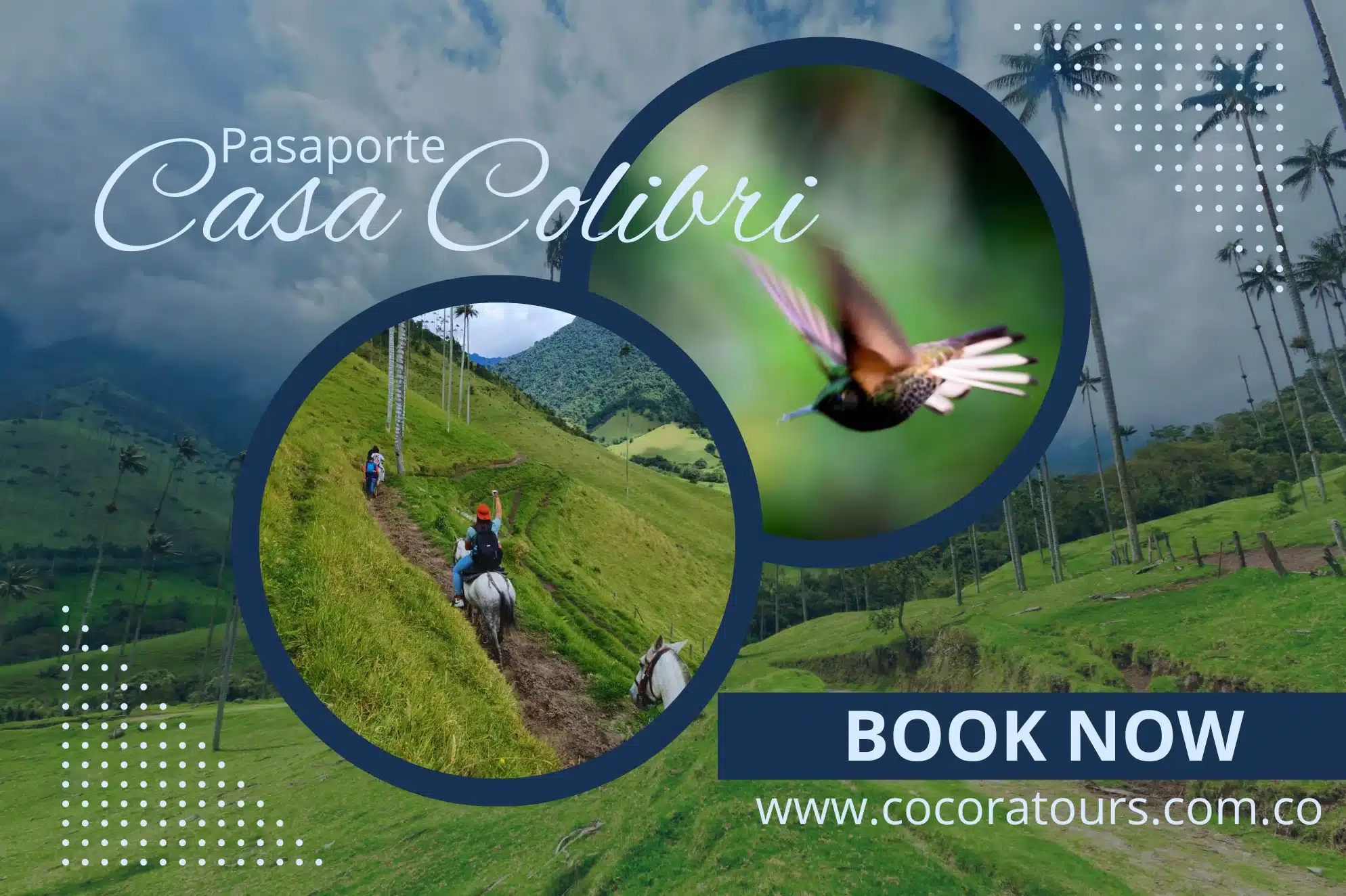 Pasaporte circuito colibrí Valle del Cocora