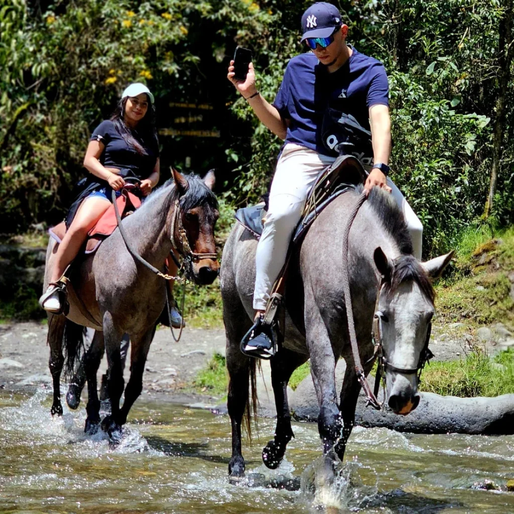 Cabalgatas en Salento en imágenes