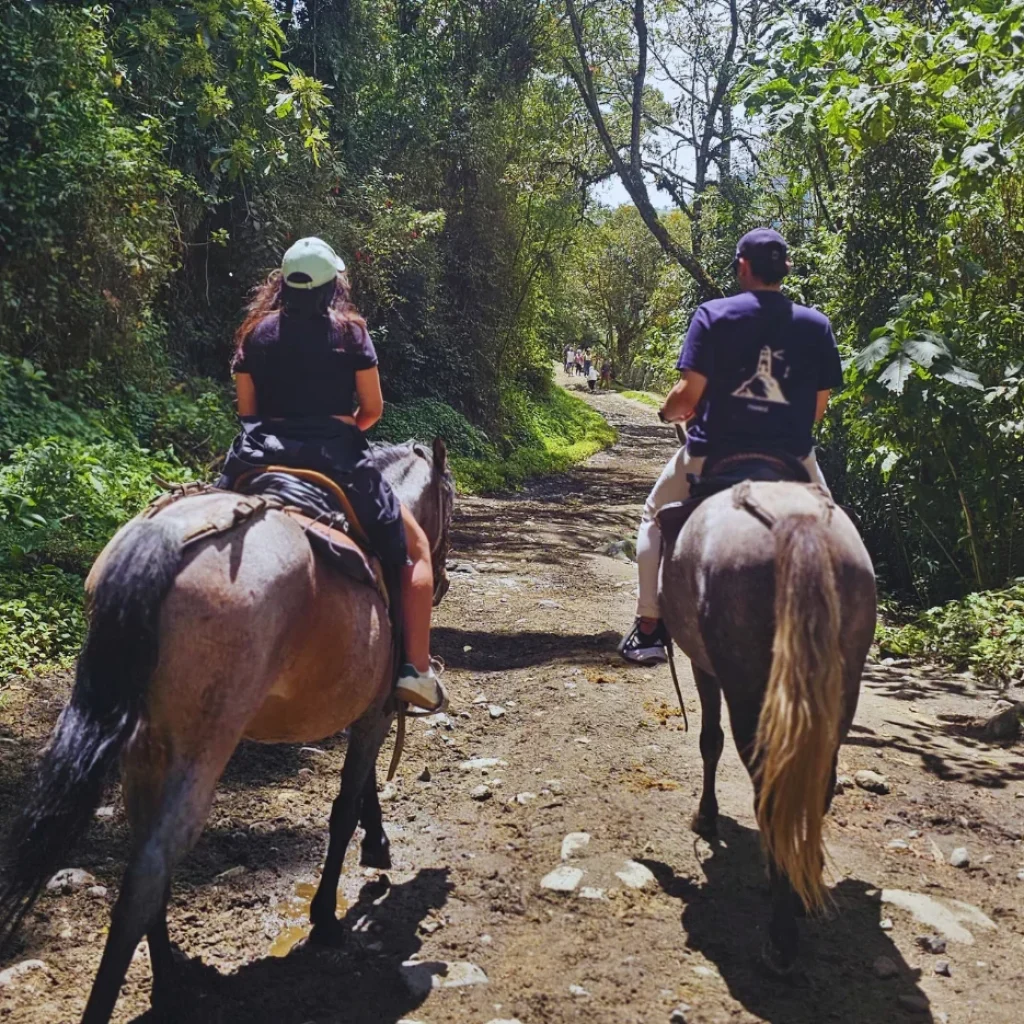 Cabalgatas en Salento en imágenes