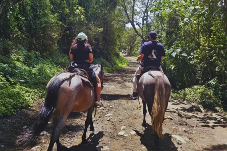 Cabalgata rio y mirador dos sin retorno