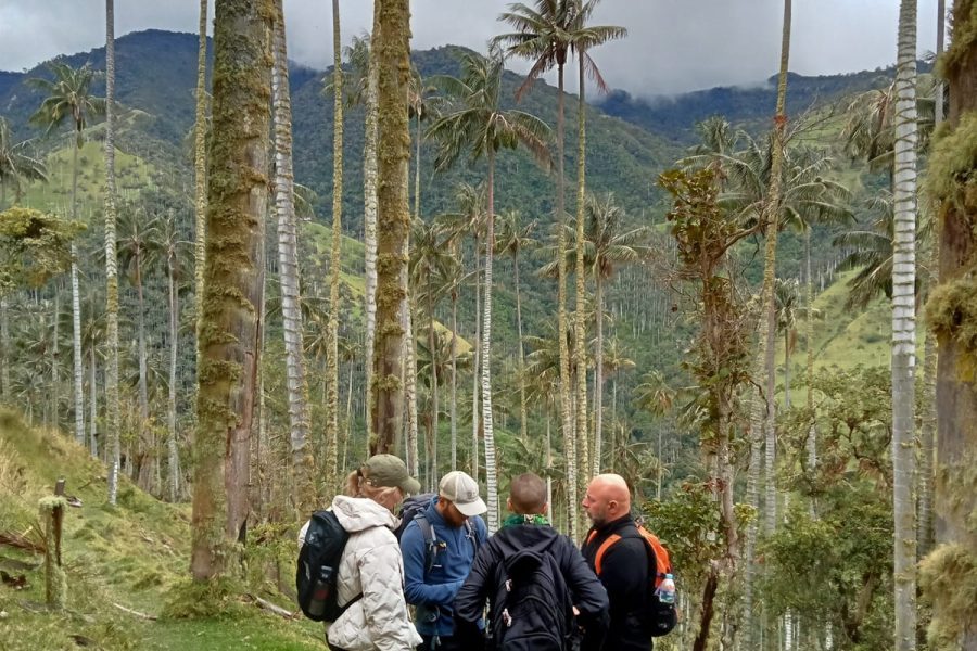 Tour completo la carbonera, la cascada y la finca el Roció