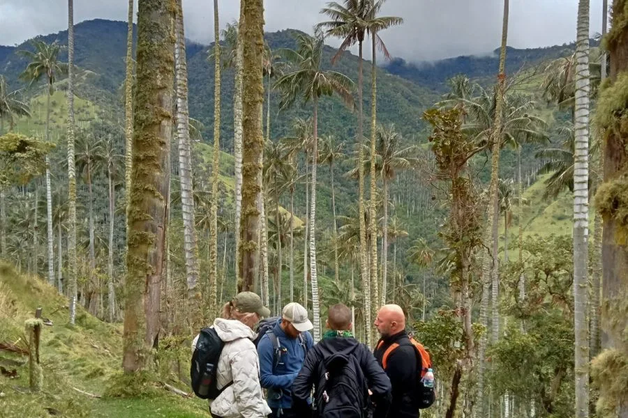 Tour completo la carbonera, la cascada y la finca el Roció