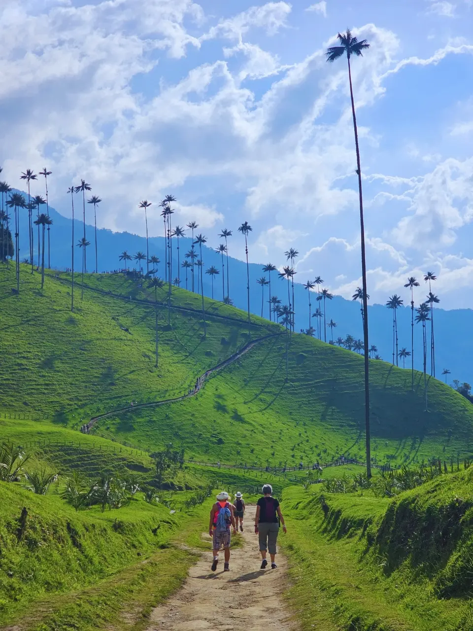 Circuito de Avistamiento de Colibrís