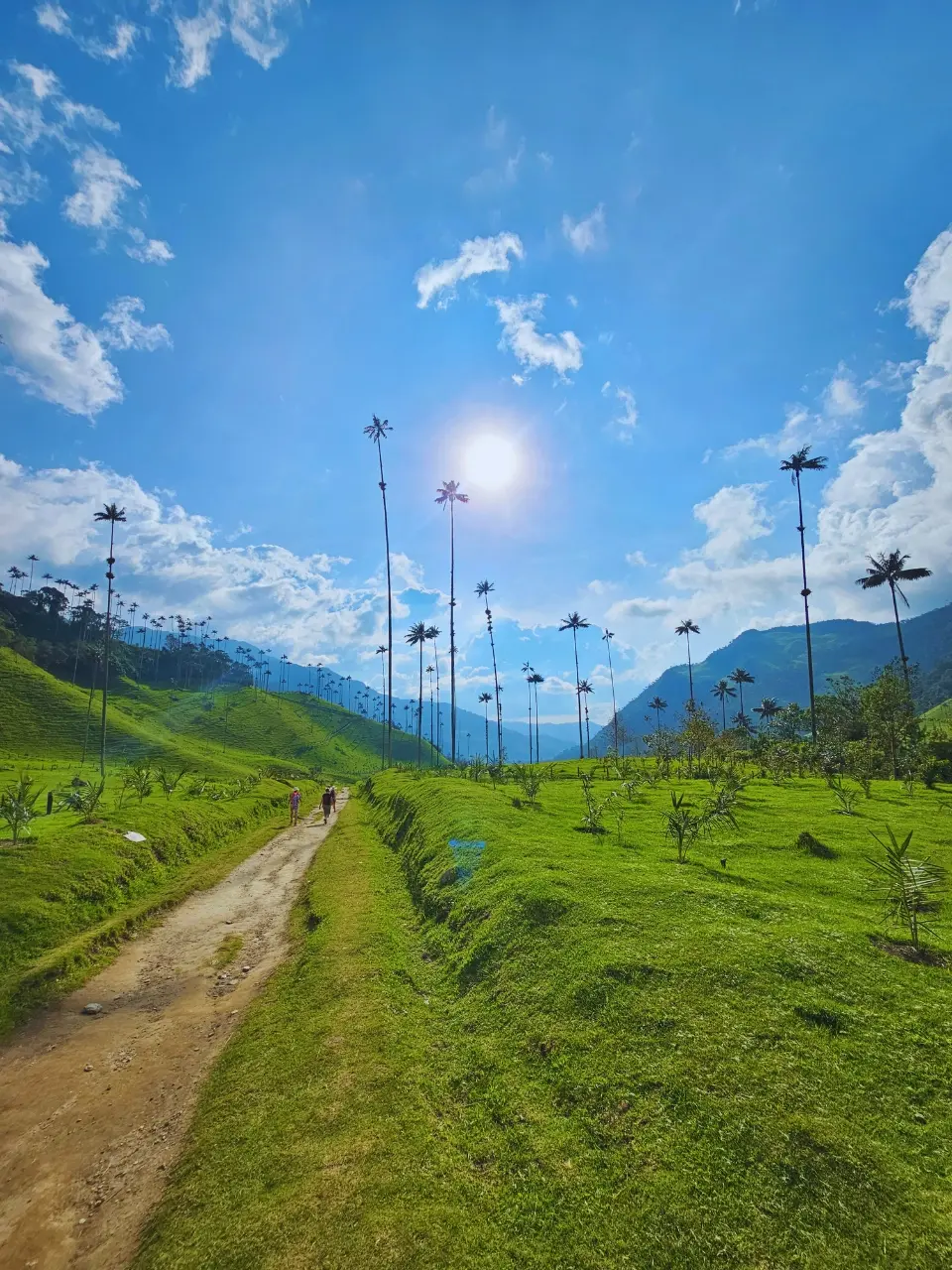 Circuito de Avistamiento de Colibrís