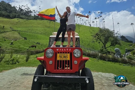 Excursión corta y gran cascada Valle del Cocora