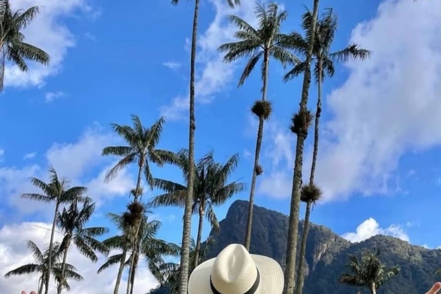 Pasadía Valle del Cocora y Salento Quindío