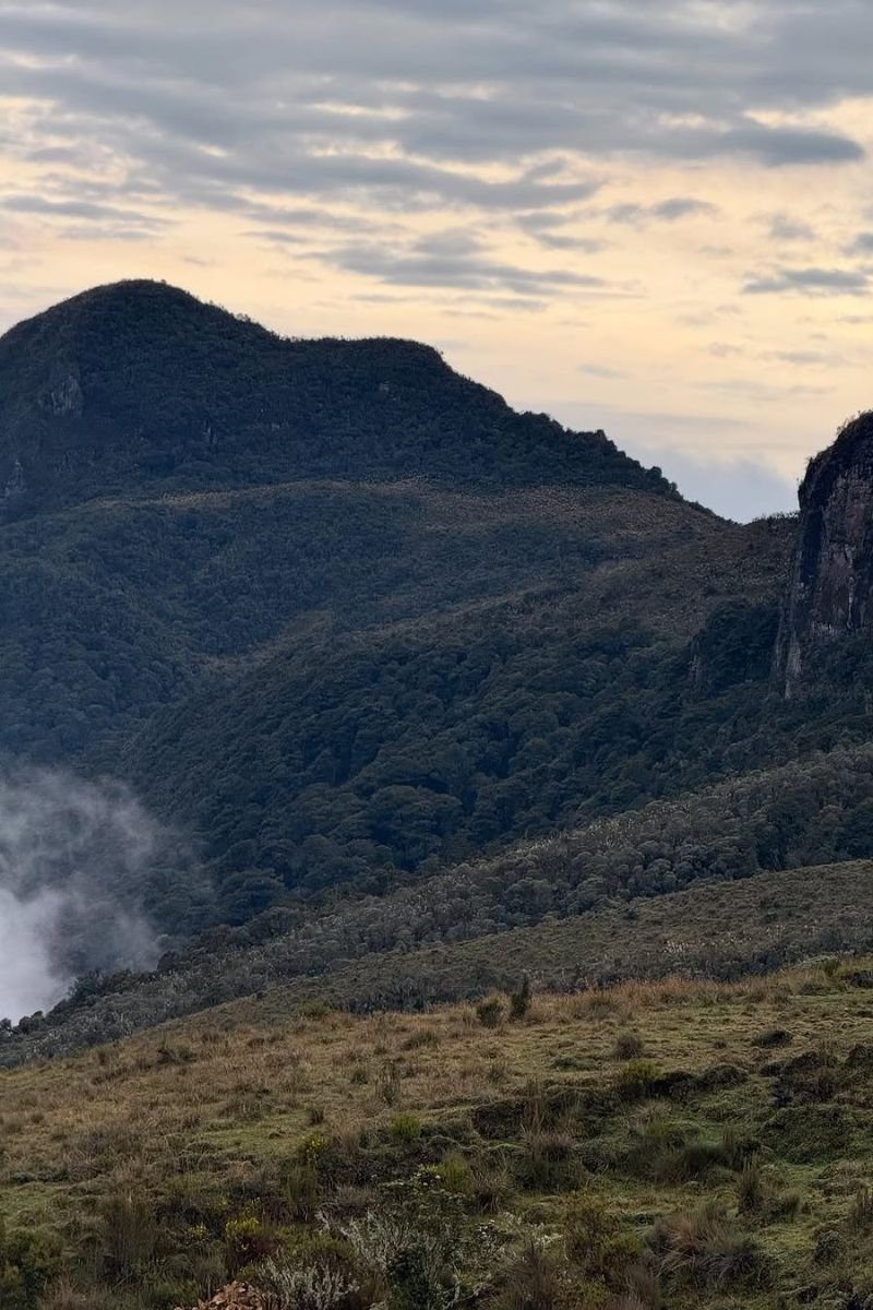 Trekking al Paramillo por Salento Quindio