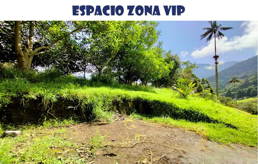 Camping carpa con vista valle del cocora