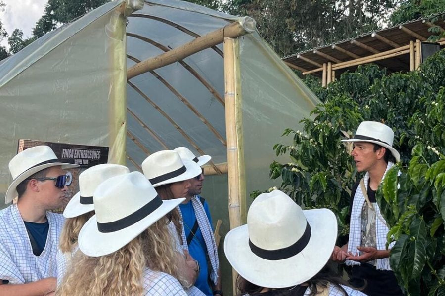 Cabalgata por las fincas cafeteras con tour del café