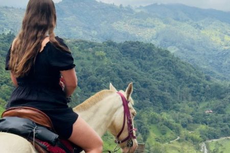 Cabalgata fincas cafeteras, bosque y rio Boquerón
