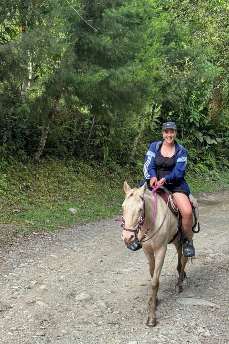 Cabalgata fincas cafeteras, bosque y rio Boquerón
