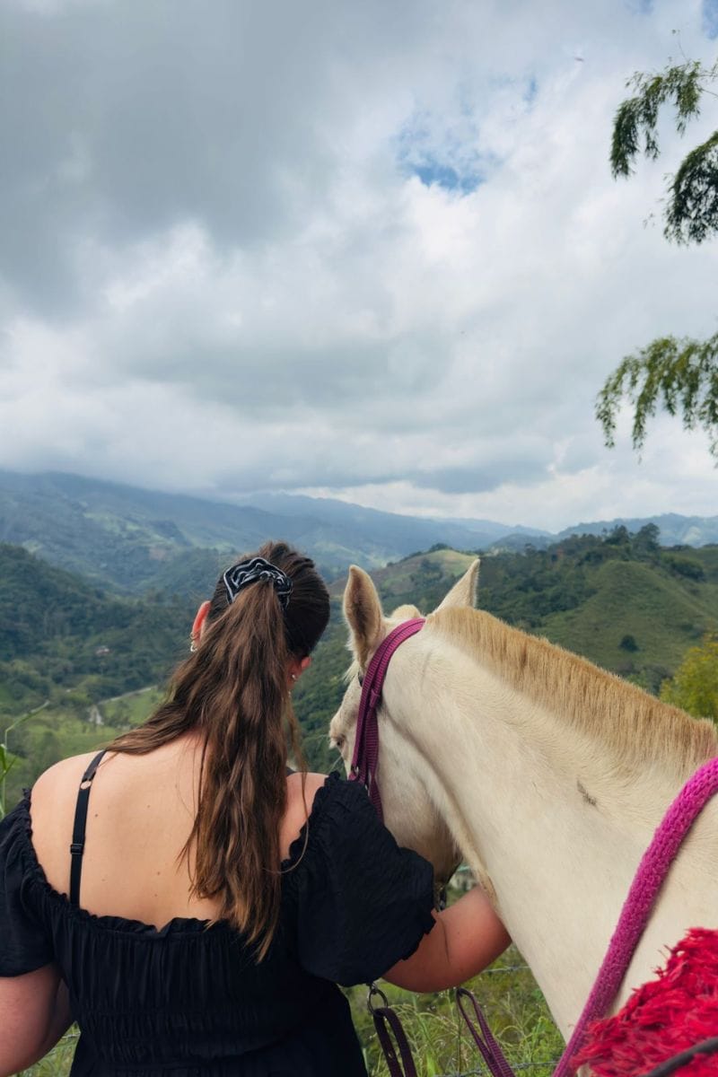 Cabalgata fincas cafeteras, bosque y rio Boquerón