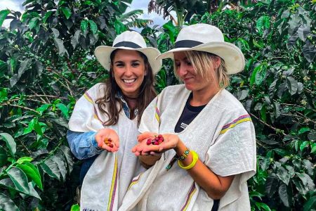 Paisajes que Inspiran Valle de  Cocora y Fincas de Café