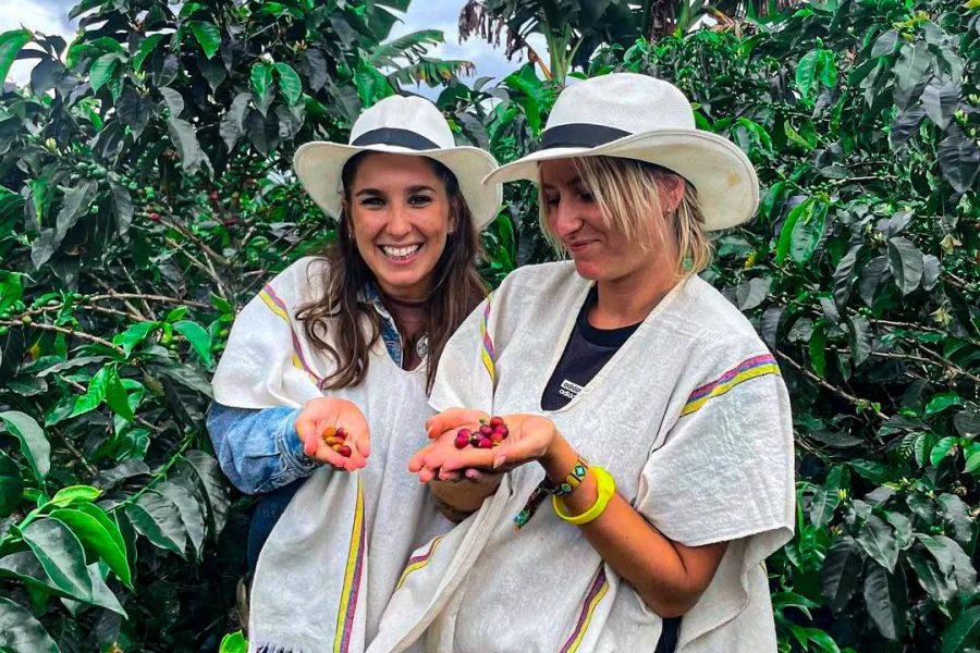 Paisajes que Inspiran Valle de  Cocora y Fincas de Café