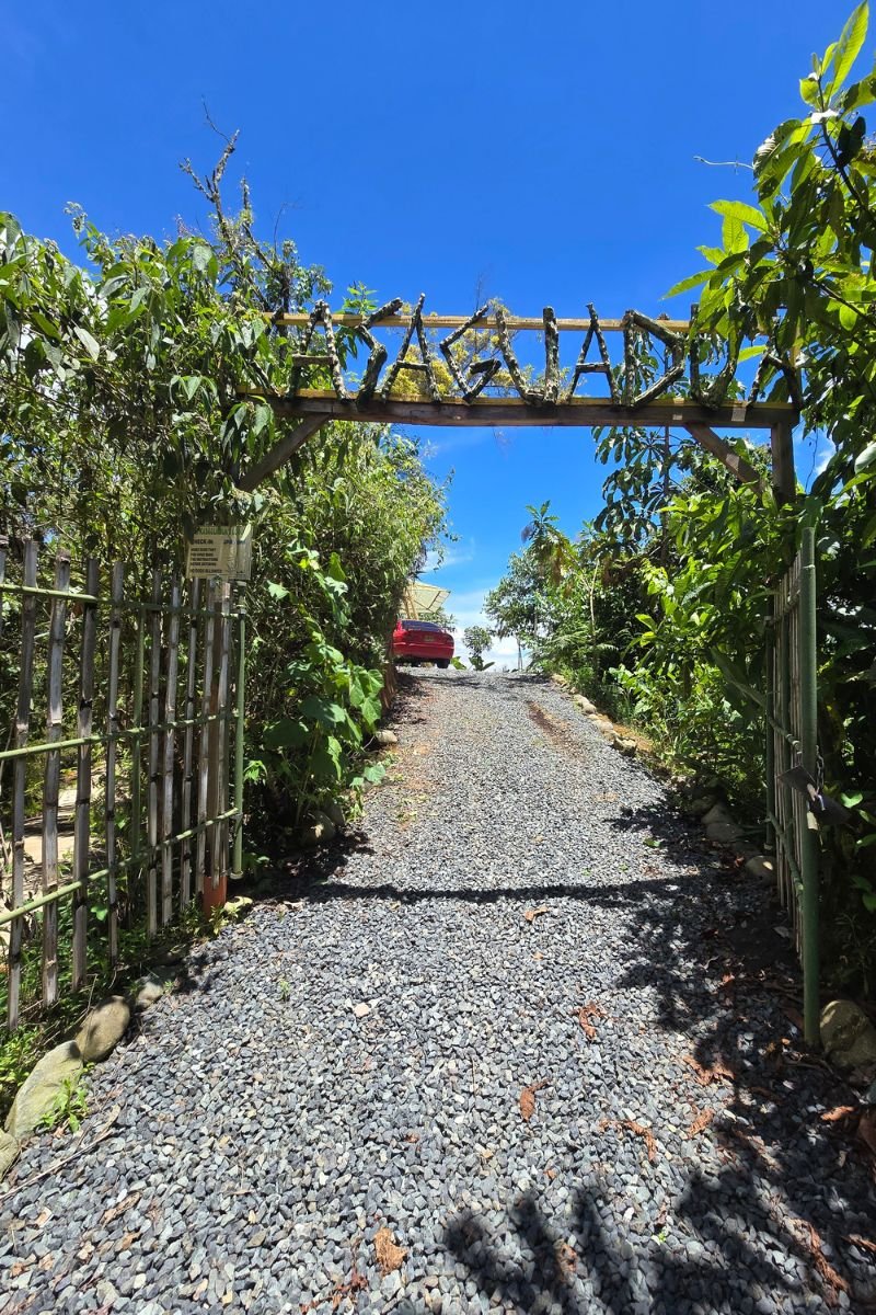 Reserva Kasaguadua: Inmersión en Bosque de Niebla, Cañonismo y Cuna de la Palma de Cera