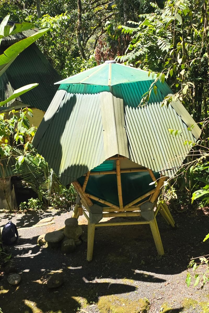 Reserva Kasaguadua: Inmersión en Bosque de Niebla, Cañonismo y Cuna de la Palma de Cera