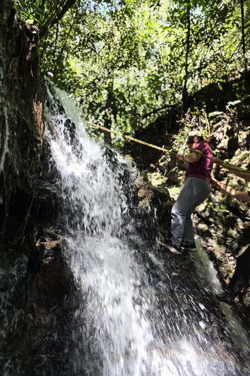 Reserva Kasaguadua: Inmersión en Bosque de Niebla, Cañonismo y Cuna de la Palma de Cera