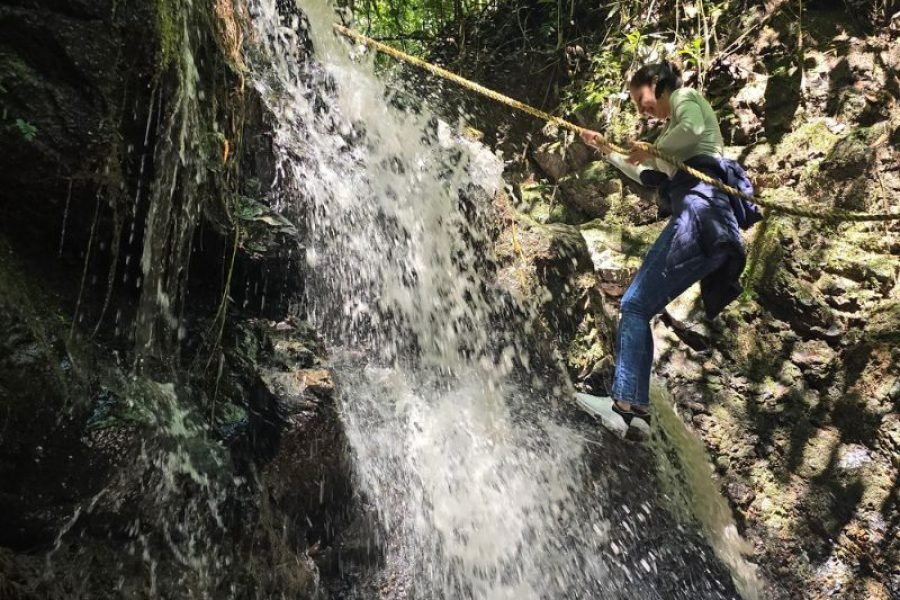Reserva Kasaguadua: Inmersión en Bosque de Niebla, Cañonismo y Cuna de la Palma de Cera
