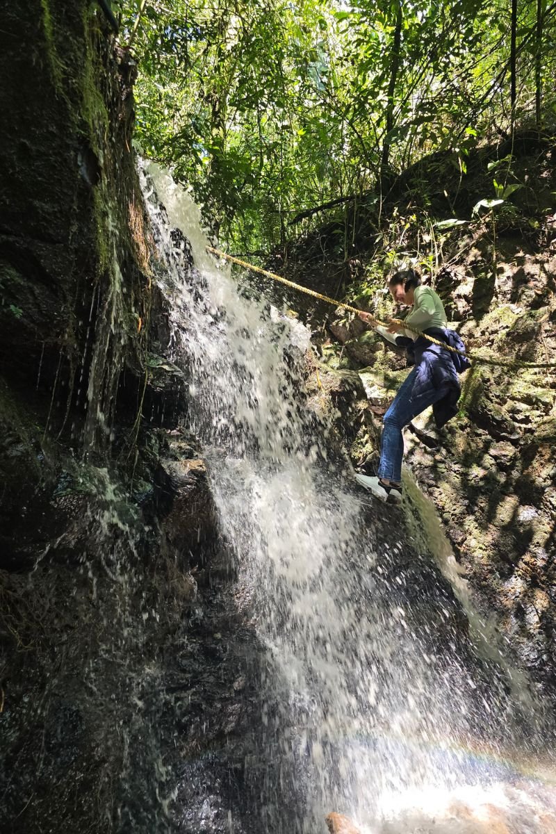 Reserva Kasaguadua: Inmersión en Bosque de Niebla, Cañonismo y Cuna de la Palma de Cera