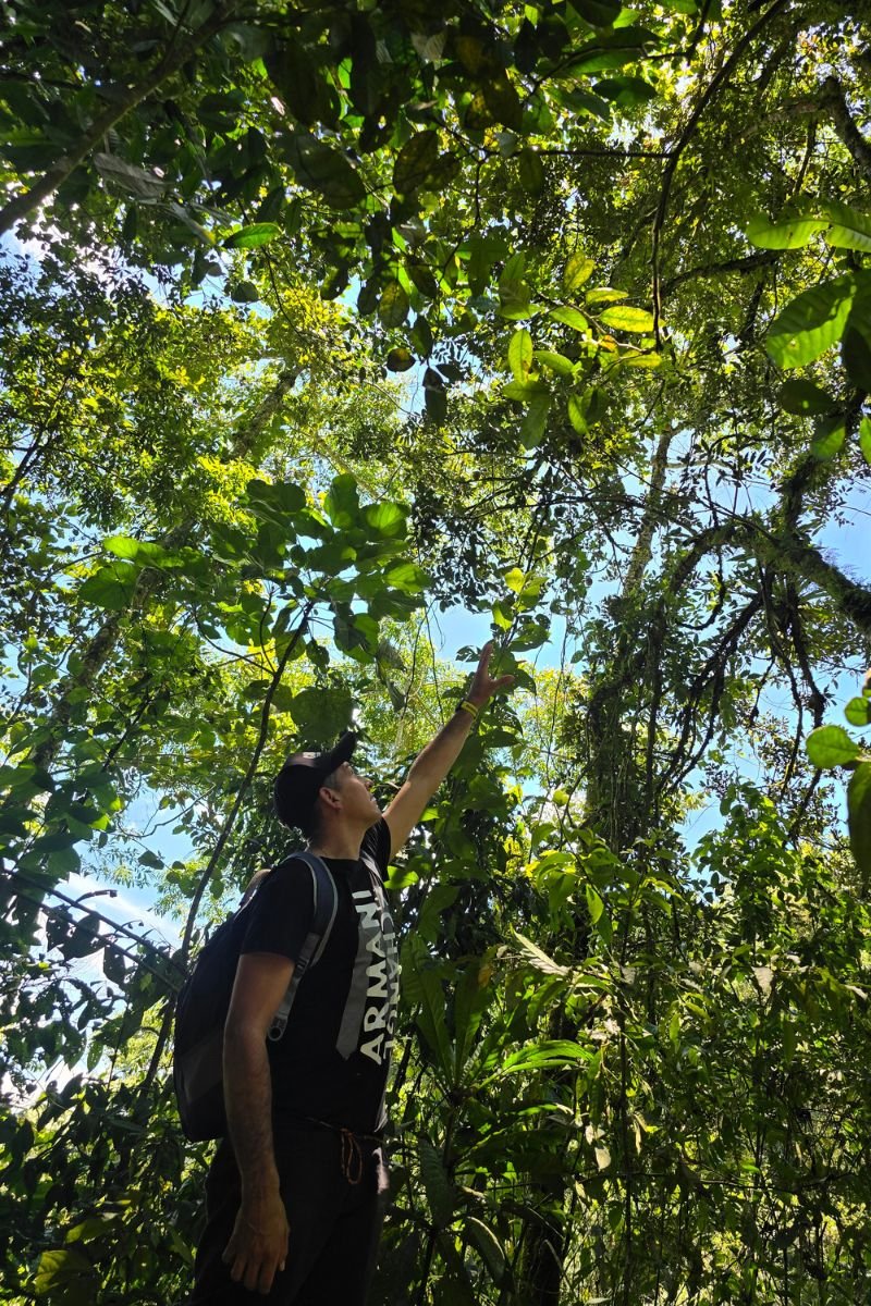Reserva Kasaguadua: Inmersión en Bosque de Niebla, Cañonismo y Cuna de la Palma de Cera