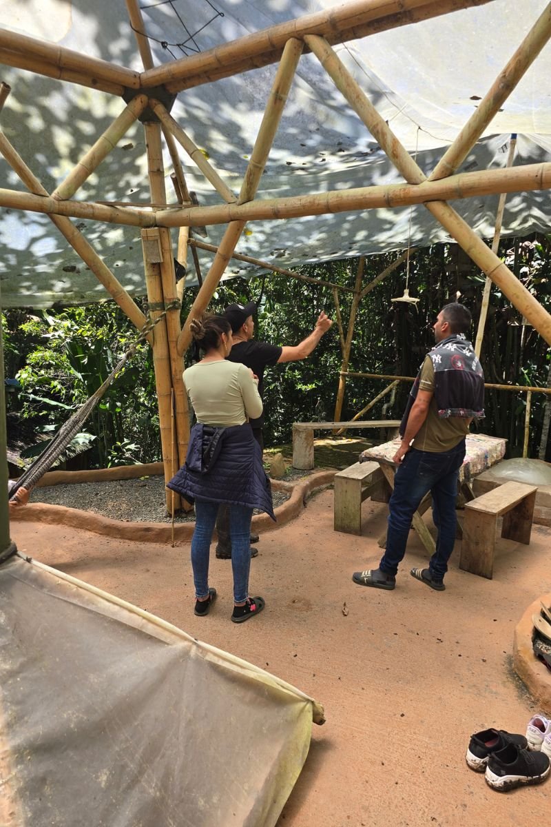 Reserva Kasaguadua: Inmersión en Bosque de Niebla, Cañonismo y Cuna de la Palma de Cera